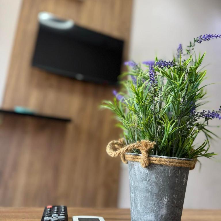 Apartmants S&H - Apartman sa 2 Spavaće Sobe i Balkonom - 36