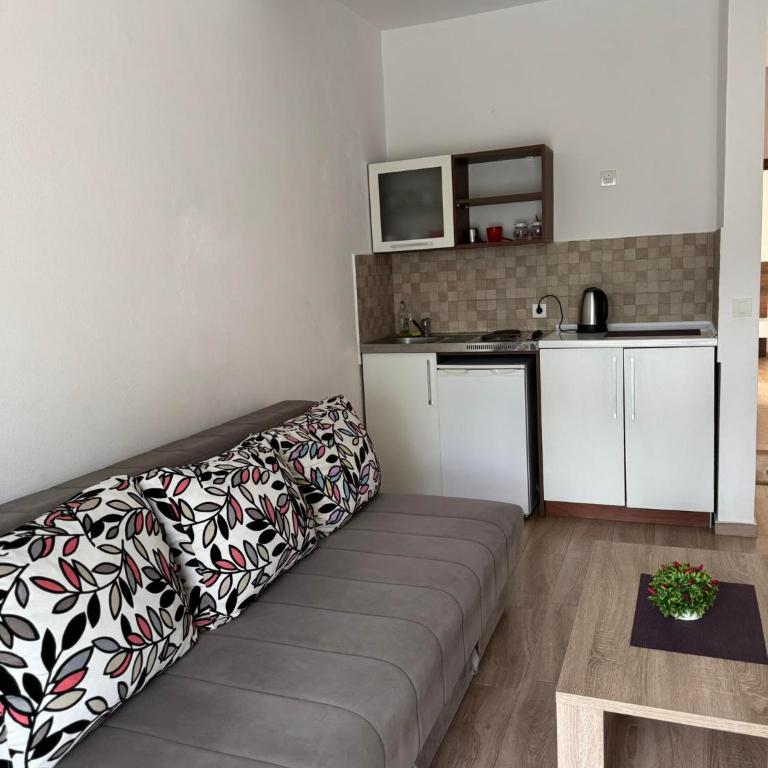 Apartmants S&H - Apartman s 1 Spavaćom Sobom i Balkonom - 13