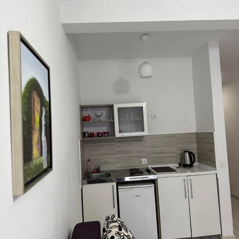 Apartmants S&H - Apartman sa 1 Spavaćom Sobom - 2