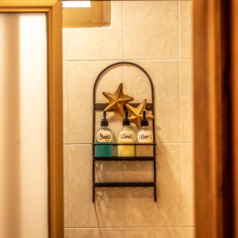 5 Frogs Hotel Bucerias - Apartamento con vistas a la piscina - 7