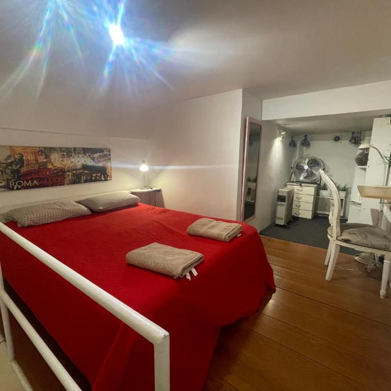 Raquel nice duplex Recoleta - Apartamento de 1 dormitorio - 5