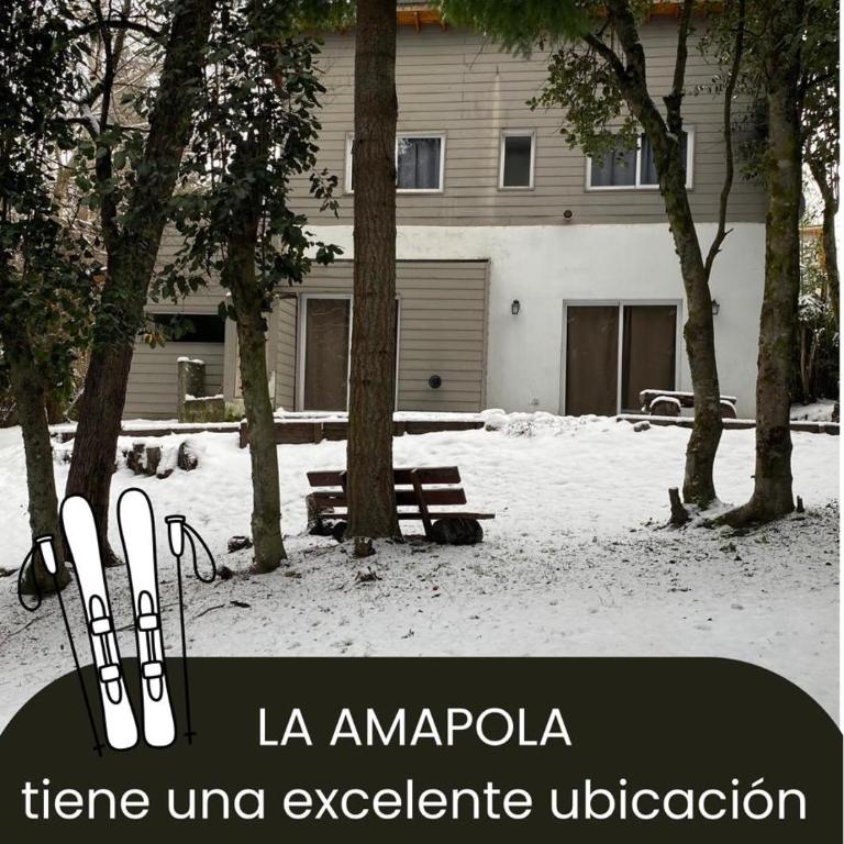 La Amapola - Casa Unifamiliar de 2 dormitorios - 21