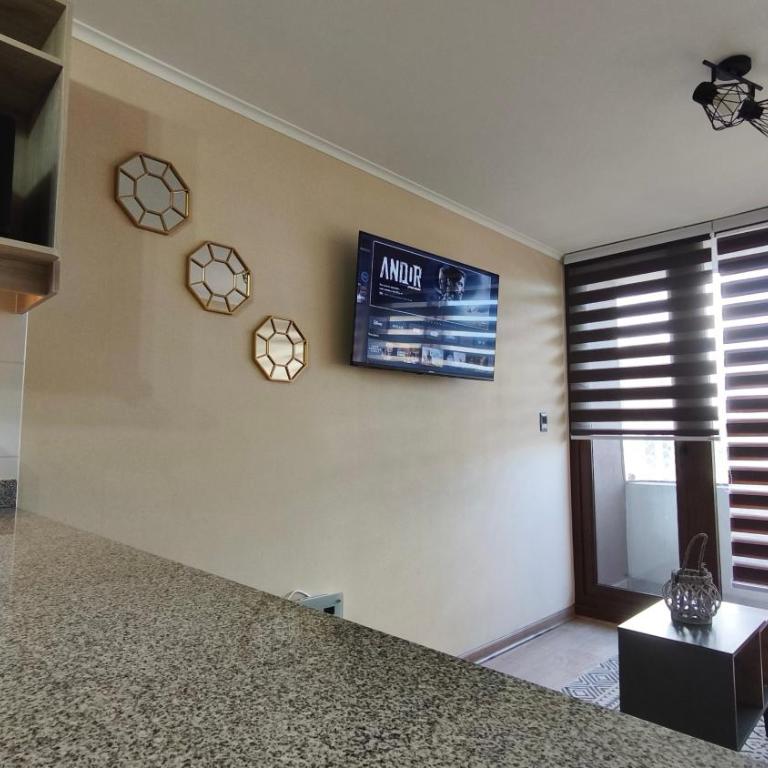 Departamento centro Temuco - Apartamento de 1 dormitorio - 30