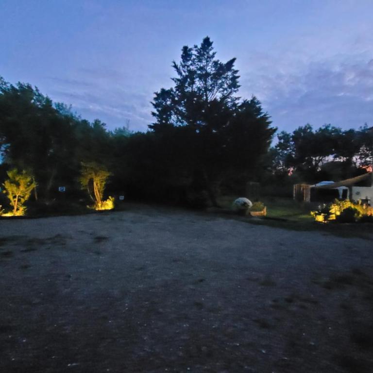 Le Clos des Oiseaux - Villa con 1 Camera da Letto - 13