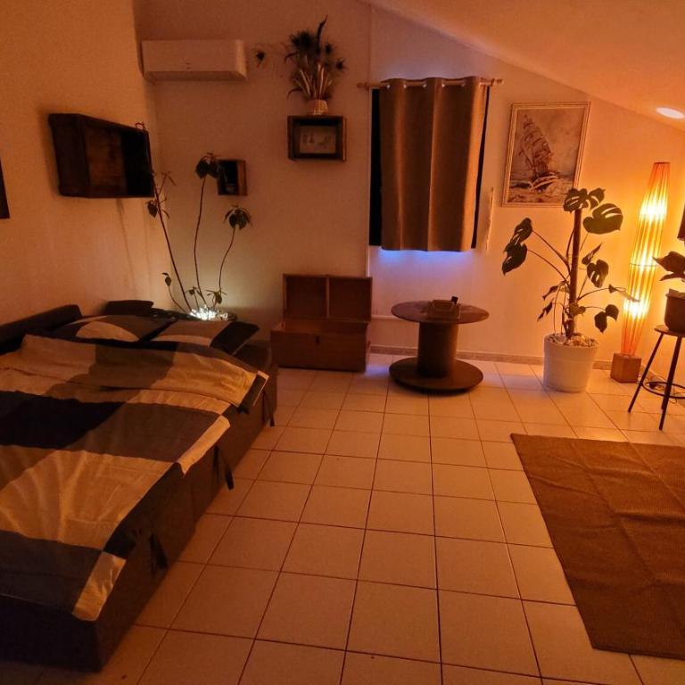 Le Clos des Oiseaux - Villa con 1 Camera da Letto - 12