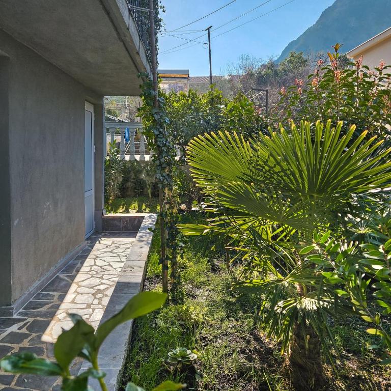 Holiday House Kotor - Vacation Home - 43