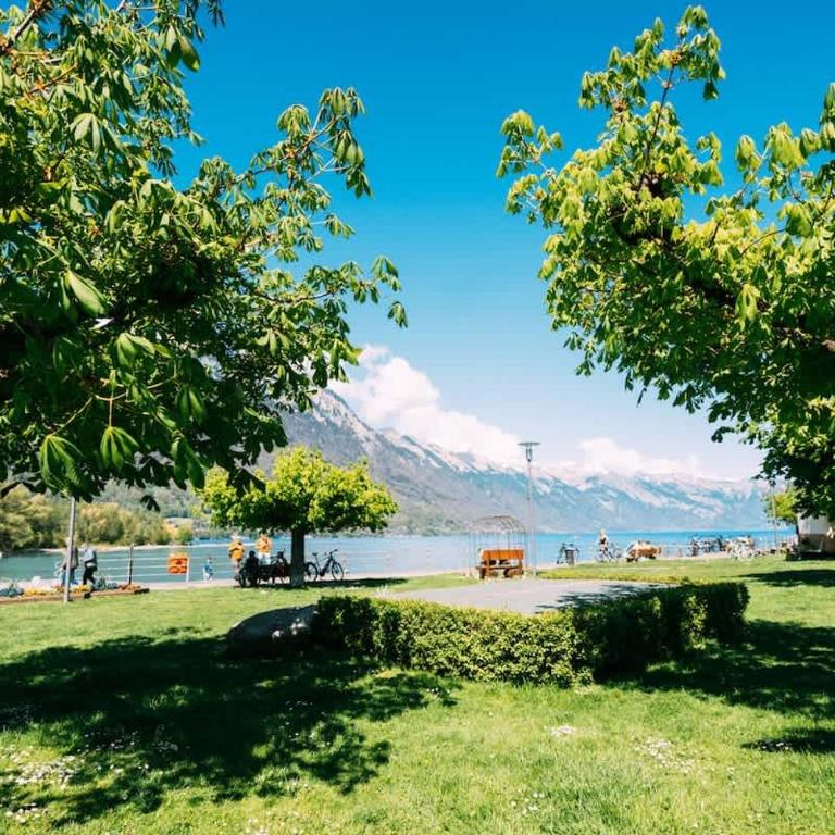 Lakeside Barn Apartment near Interlaken - Apartment - 1