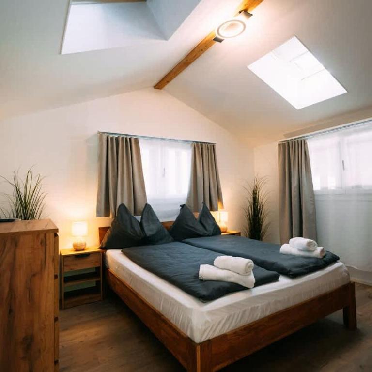 Lakeside Barn Apartment near Interlaken - Apartment - 6