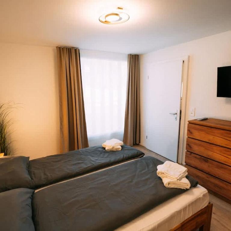 Lakeside Barn Apartment near Interlaken - Apartment - 10