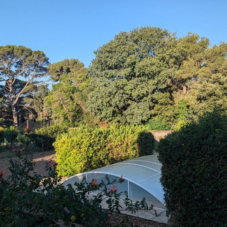 Grande Maison avec piscine, parking et wifi - Villa - 20