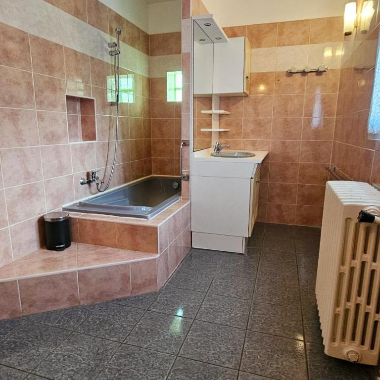 Grande Maison avec piscine, parking et wifi - Villa - 37
