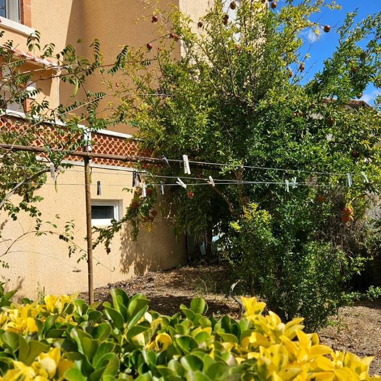 Grande Maison avec piscine, parking et wifi - Villa - 38