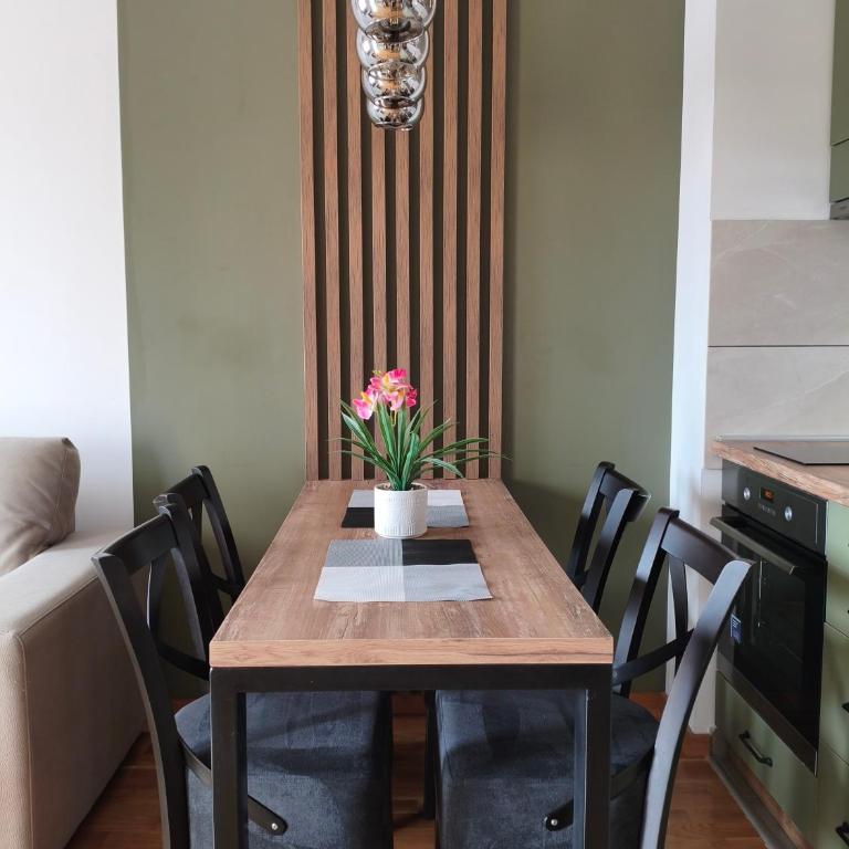 Apartman Zimus sa prelepim pogledom, besplatan Spa & Đakuzi, Parking, WIFI, lift, - Apartman sa 1 Spavaćom Sobom - 2