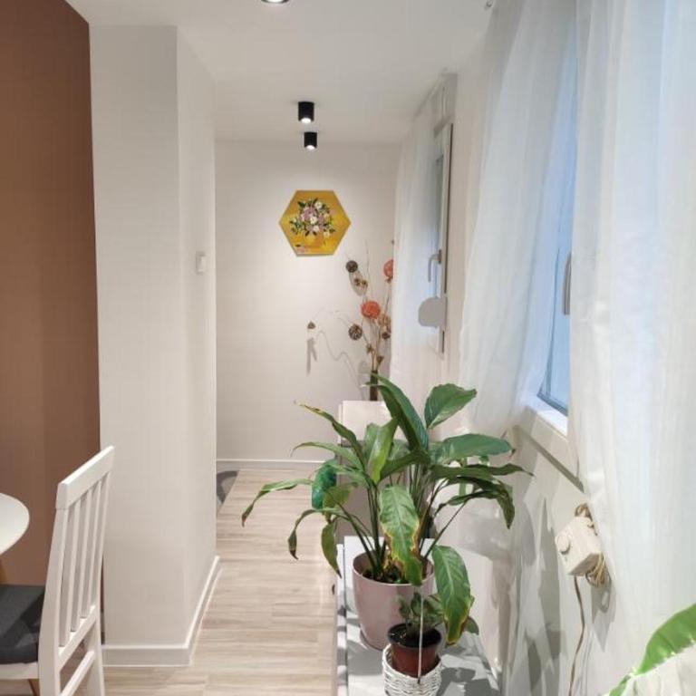 KS Studio 2 - One-Bedroom Apartment - 2