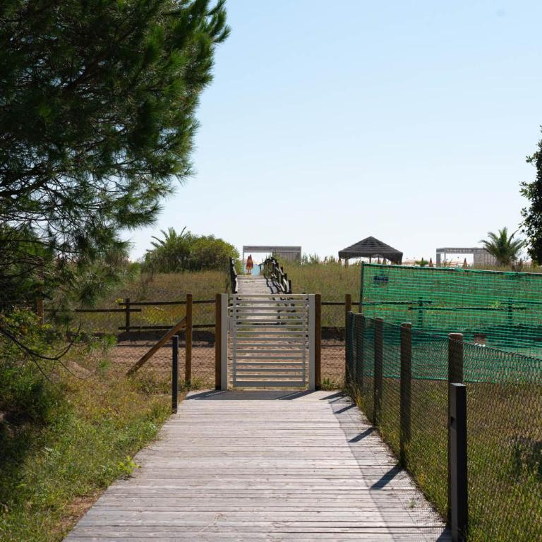 Immobiliare JVL-JLBlue Resort - Appartamento con 2 Camere da Letto - 13