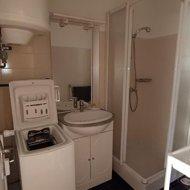 Appartement Calme 4 Pers avec Terrasse et Animaux Admis - FR-1-445-80 - Appartamento - 9