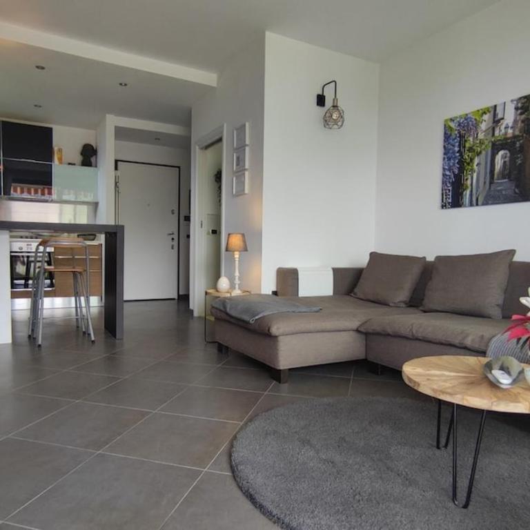 Panoramica Lake view Apartment with Terrace, 2 BR - Appartamento con 2 Camere da Letto e Vista Lago - 1