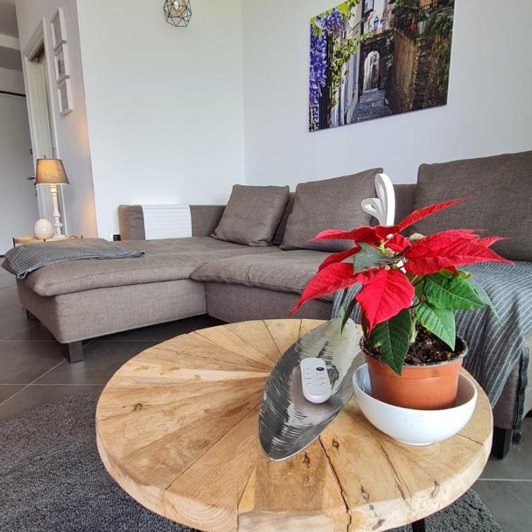 Panoramica Lake view Apartment with Terrace, 2 BR - Appartamento con 2 Camere da Letto e Vista Lago - 27