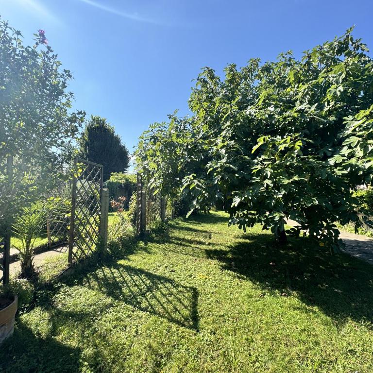 L'Abbaye de l'Epau - Jardin - Rivière - Studio mit Gartenblick - 10