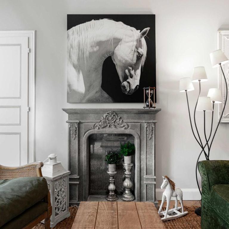 Le Tranquille characterful apartment - Apartment - 8