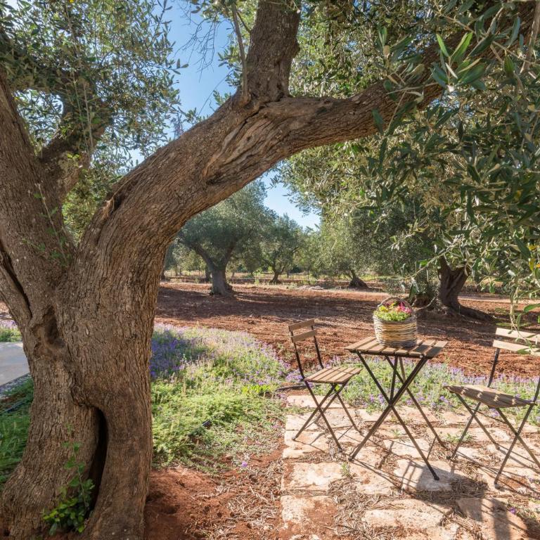 Villa Pomes by Perle di Puglia - Villa con Piscina Privata - 51