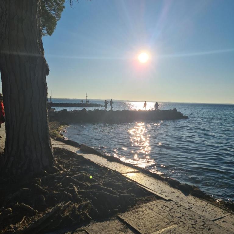 Fiore del Garda - Appartamento con 1 Camera da Letto - 8