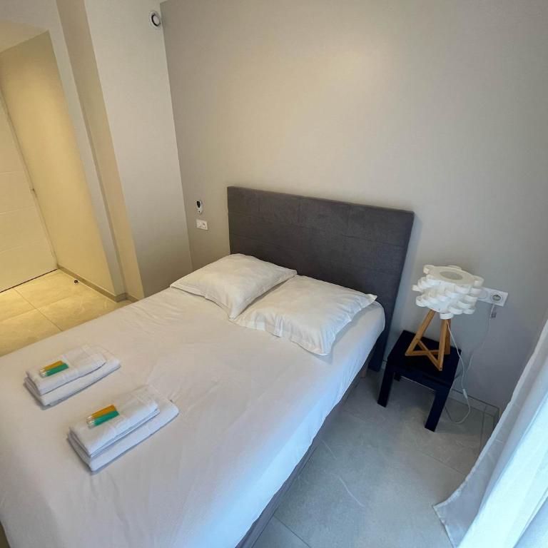 A085-Splendide appartement refait neuf avec vue mer - Appartement - 9