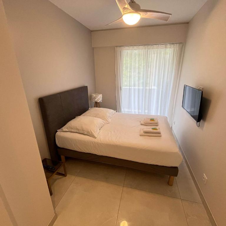 A085-Splendide appartement refait neuf avec vue mer - Appartement - 8