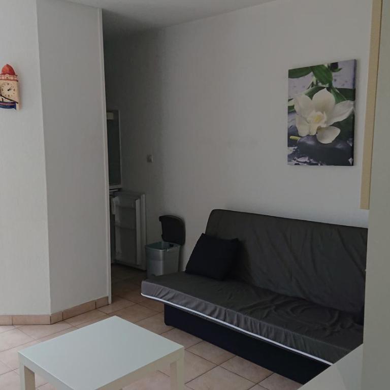 App le palais d'été - Appartement 1 Chambre - 3