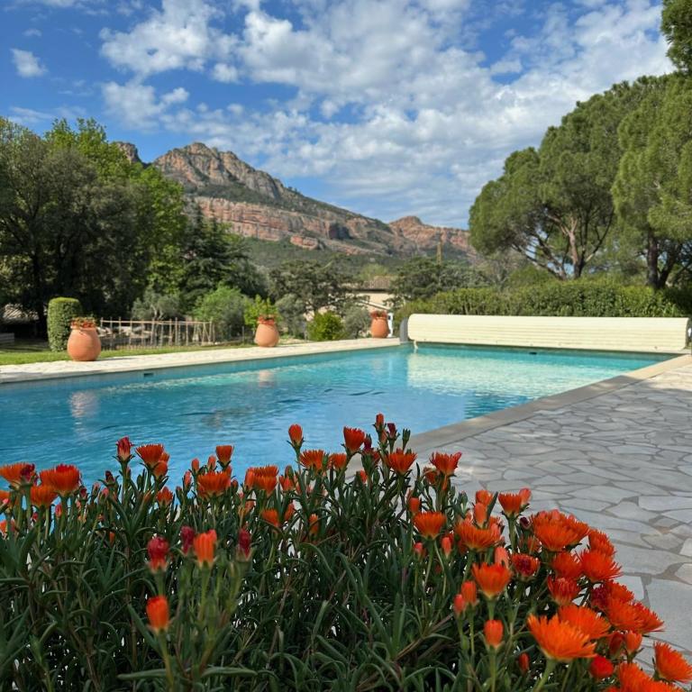 Villa Siena - Villa Deluxe - 71