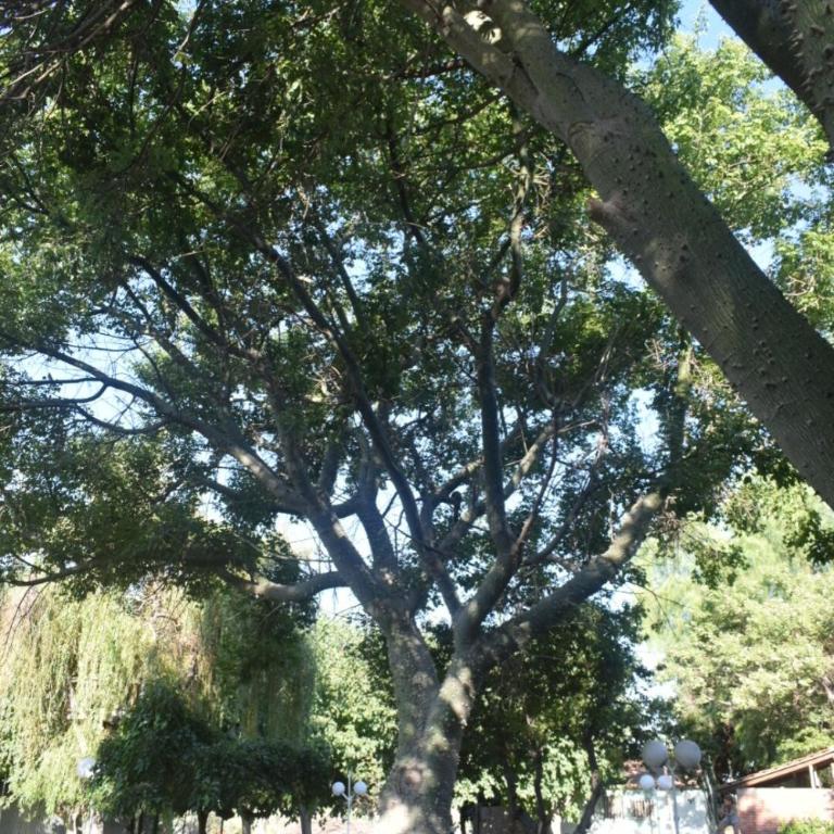 Casa quinta soñada! - Three-Bedroom House - 5