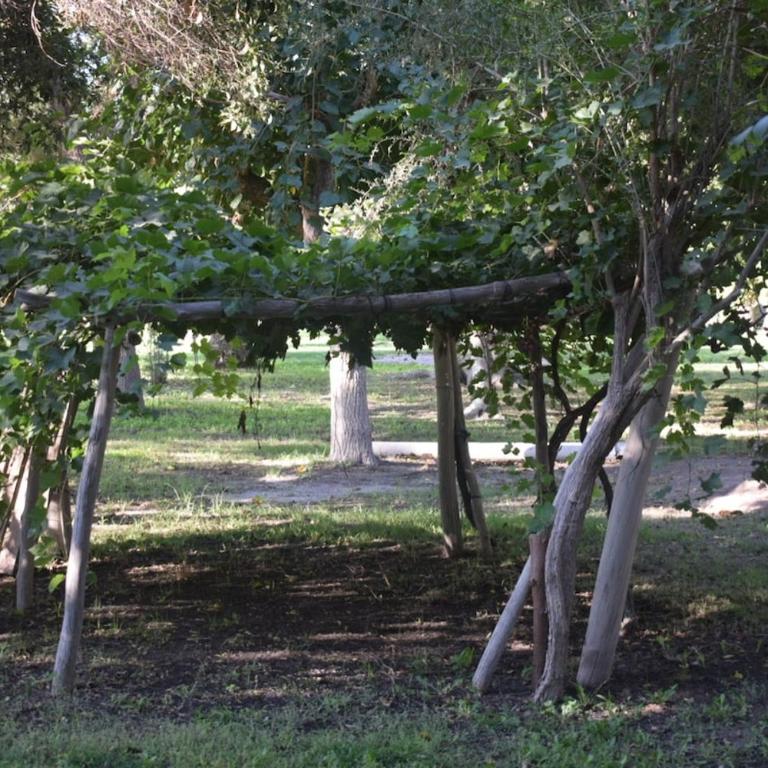 Casa quinta soñada! - Casa de 3 dormitorios - 29