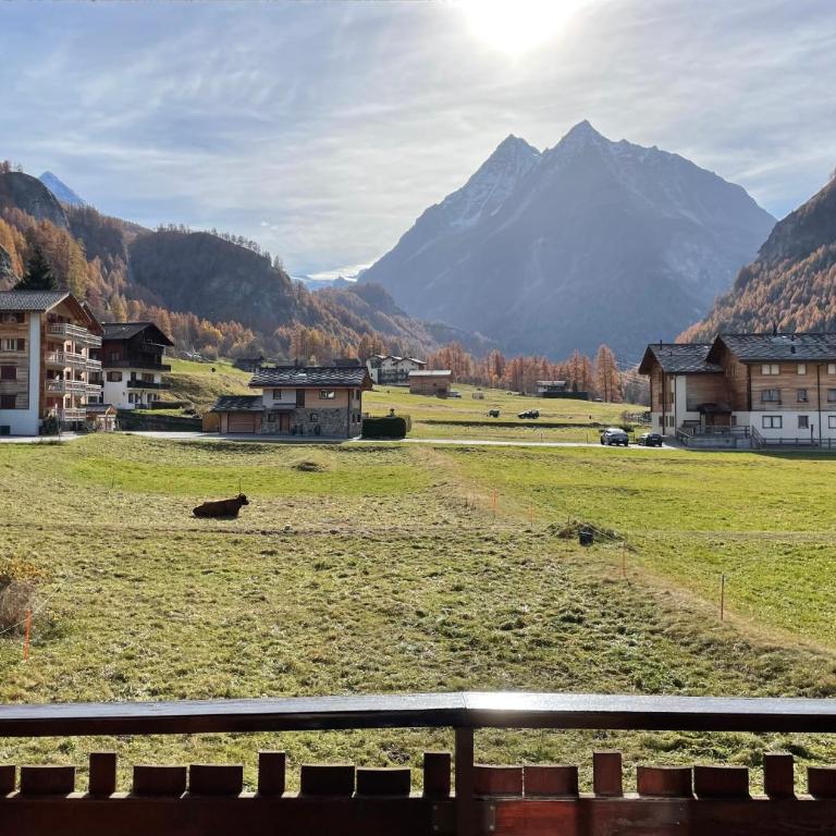 Grand appartement calme avec vue, balcon et parking couvert - One-Bedroom Apartment - 11