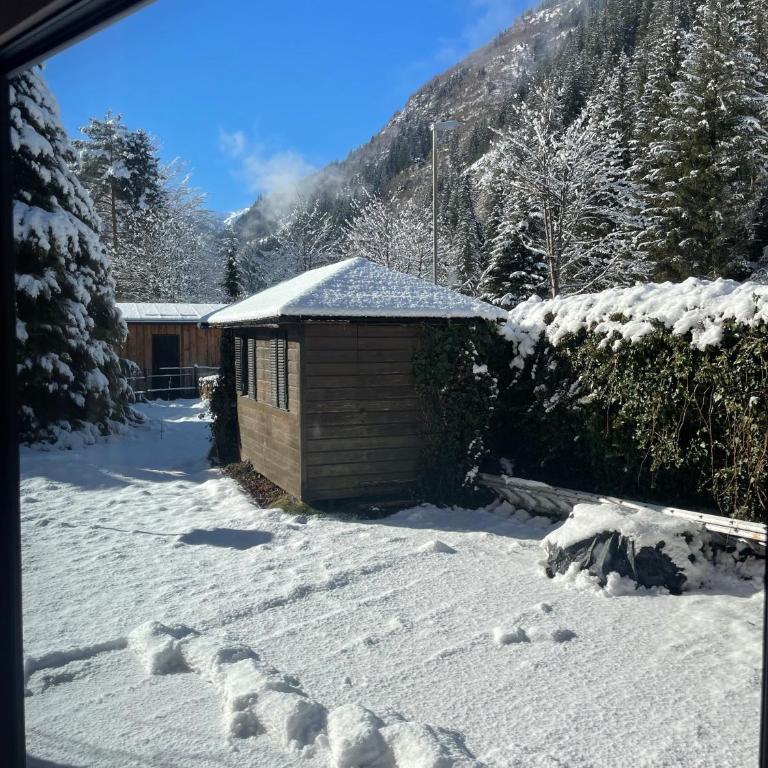 Springhouse - Appartamento con 1 Camera da Letto e Terrazza - 6