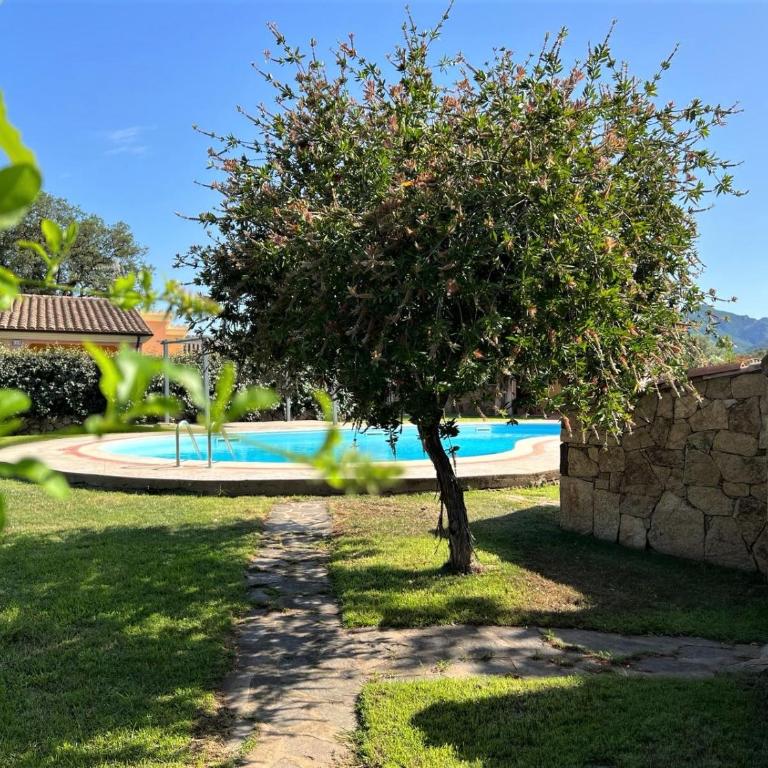 CASA PISCINA Fois - Casa con 2 Camere da Letto - 12