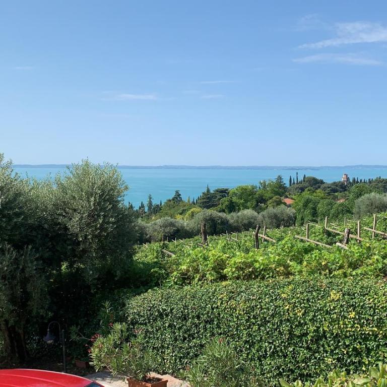 Garda Lake with private pool - Villa - 69