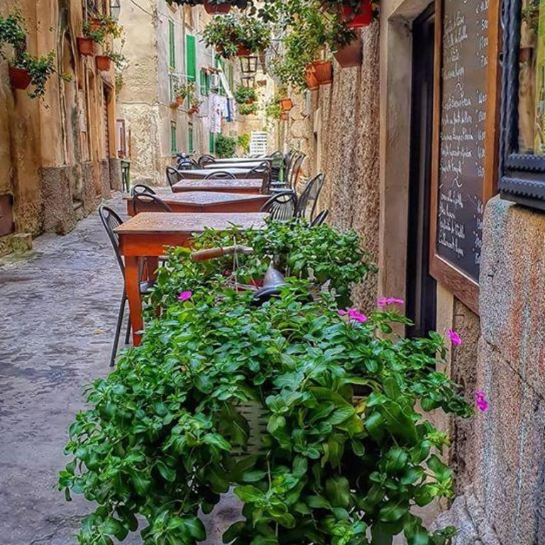 Appartamento Gaia a Tropea - Appartamento - 18