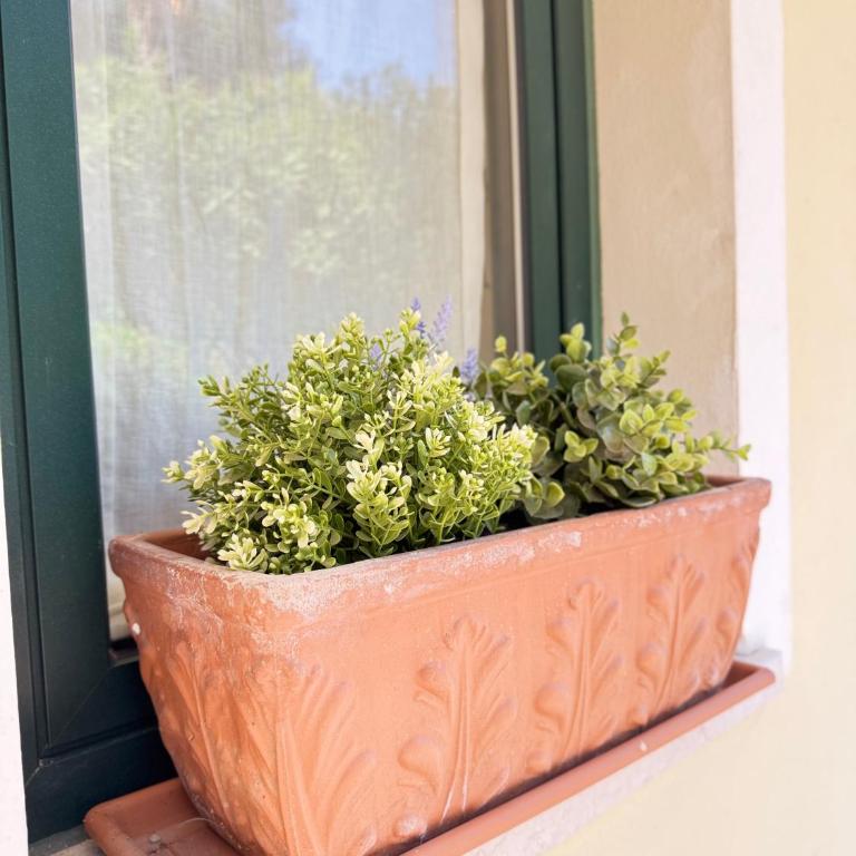 Appartamento La Perla - Apartment mit 1 Schlafzimmer und Seeblick - 56