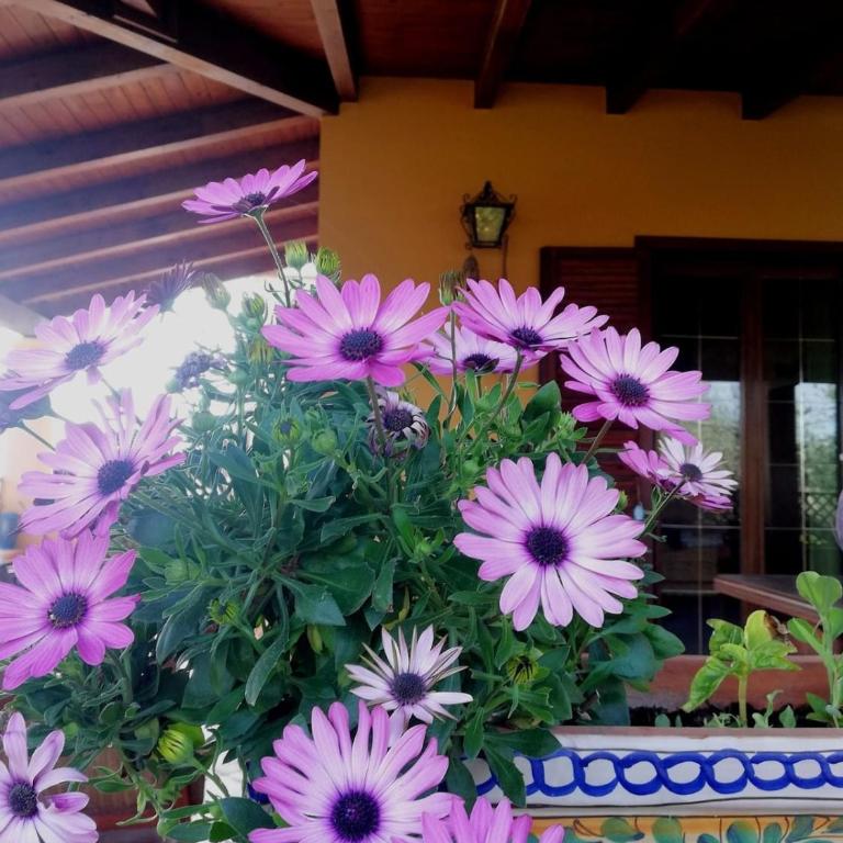 Un balcone sul mare - Two-Bedroom House - 8
