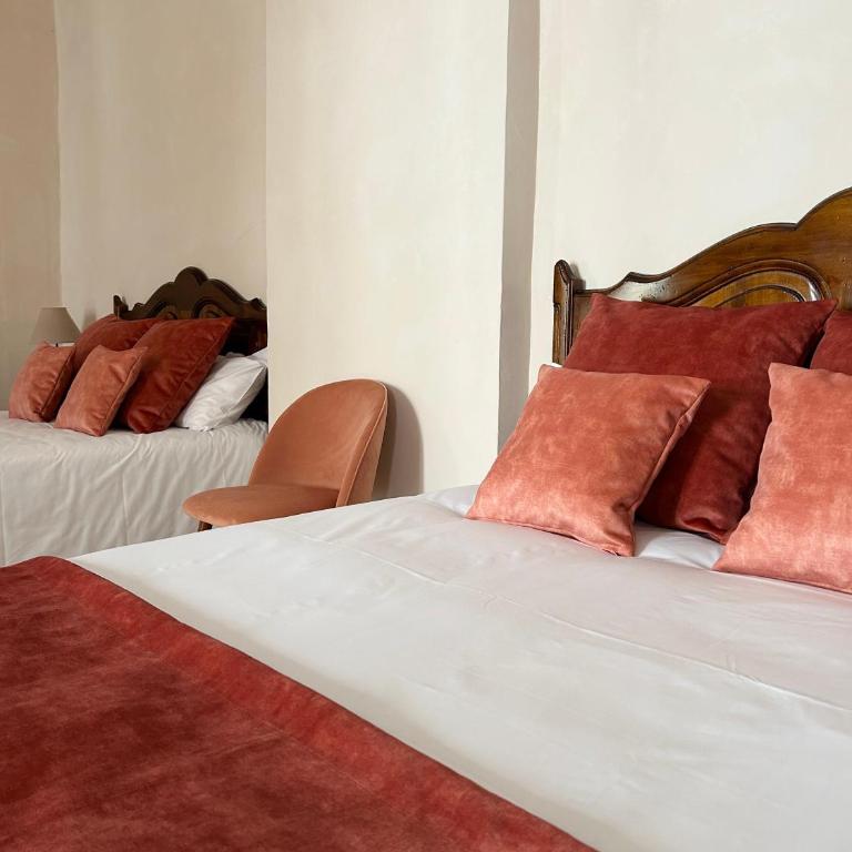 Hôtel du Musée - Chambre Lits Jumeaux Deluxe avec Vue sur Jardin - 5