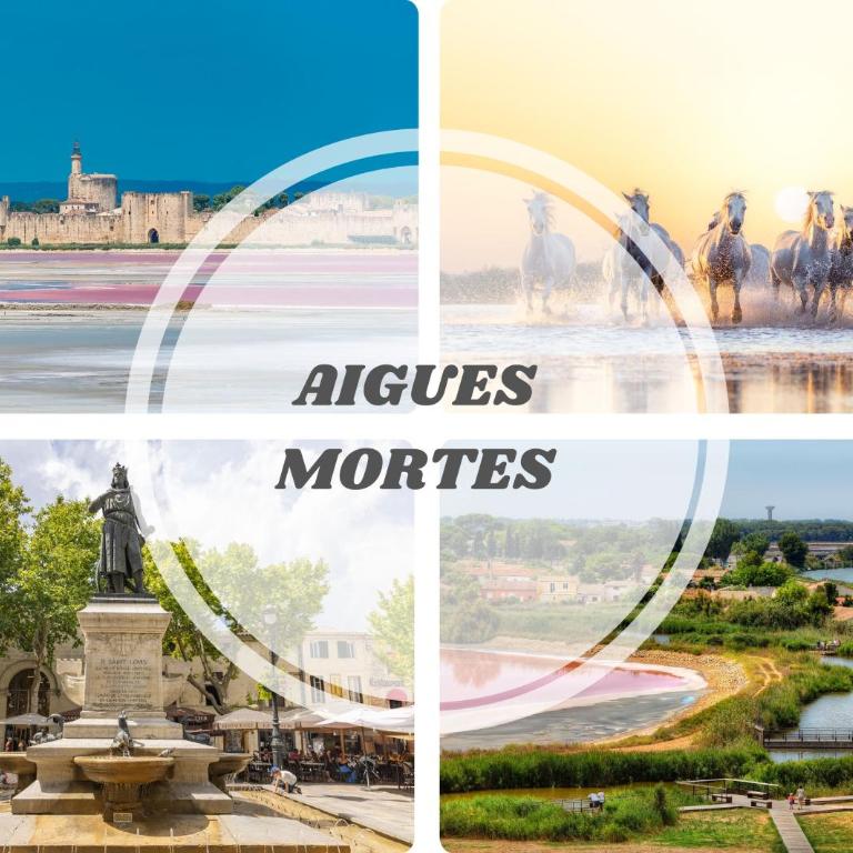 LE SEVENTIE'S 3 Terrasse-Netflix-Wifi-Parking-Mer-TOP PROS SERVICESConciergerie - Apartment mit 2 Schlafzimmern - 30