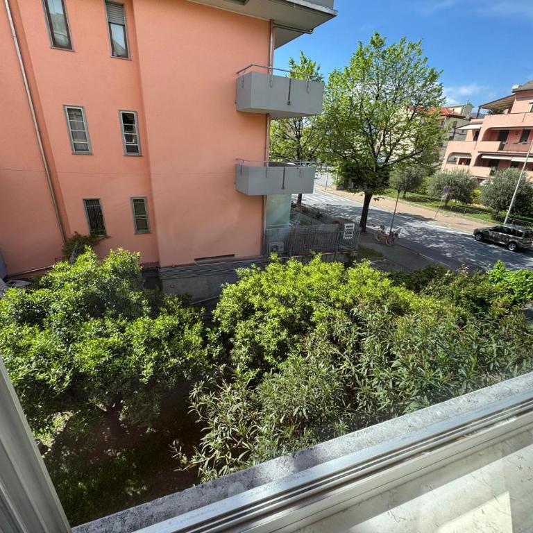 Appartamento di Olga - Appartamento con 1 Camera da Letto - 2