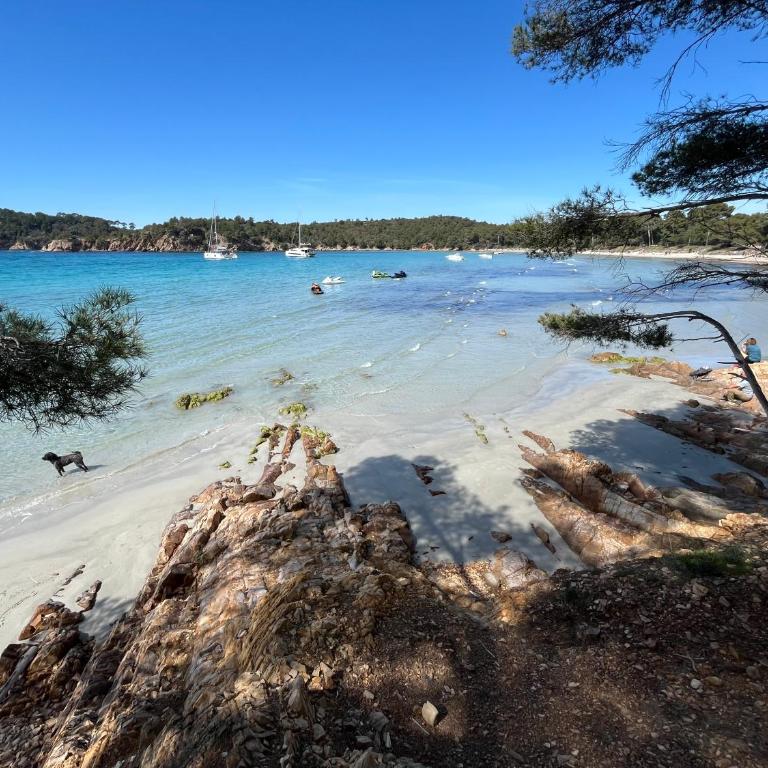 Appartement plage piscine et tennis inclus - One-Bedroom Apartment - 40