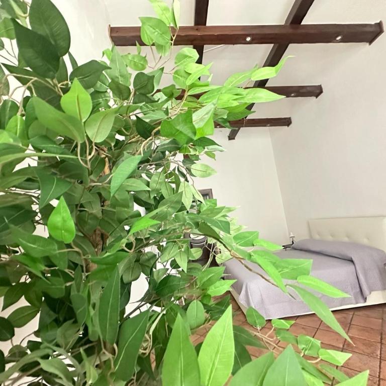La Casa di Linda - Appartamento con 3 Camere da Letto e con Balcone - 9