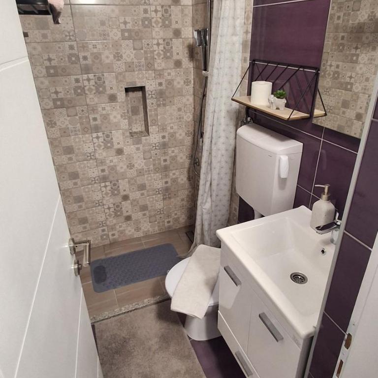Studio Apartman Radule - Apartman sa 1 Spavaćom Sobom - 10