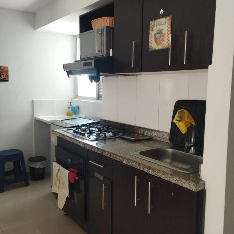 Vista al Magdalena - Apartamento de 2 dormitorios - 8