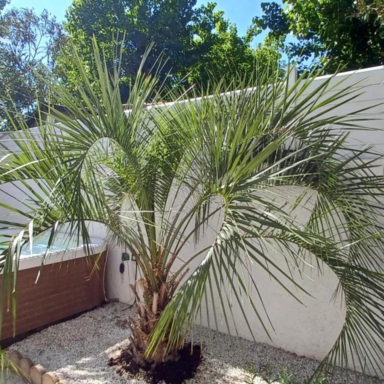 Appartement avec jardin et spa - One-Bedroom Apartment - 22