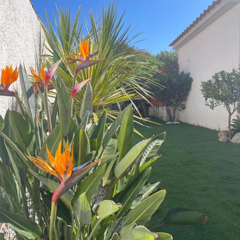 Belle villa classée 4 étoiles proche plage avec jardin - Maison de Vacances - 3