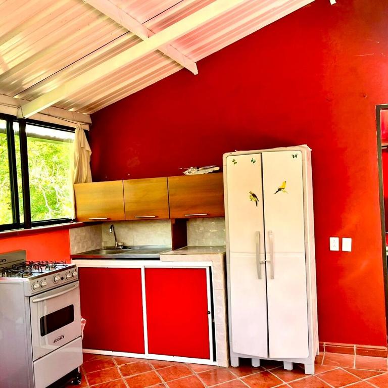 Finca el Manantial - Apartamento de 1 dormitorio - 8