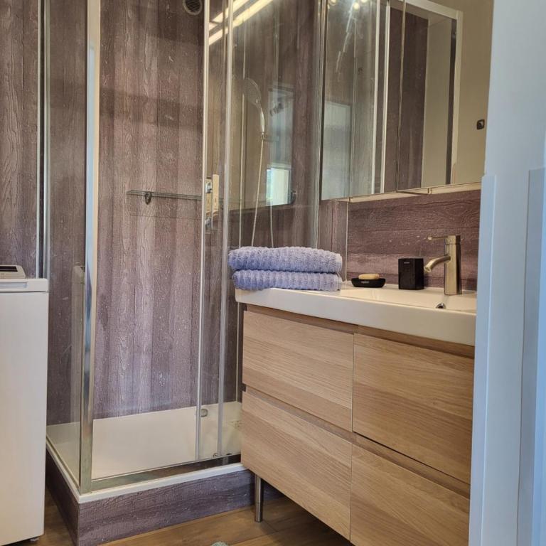 Domaine des Roches - Appartement 1 Chambre - 10